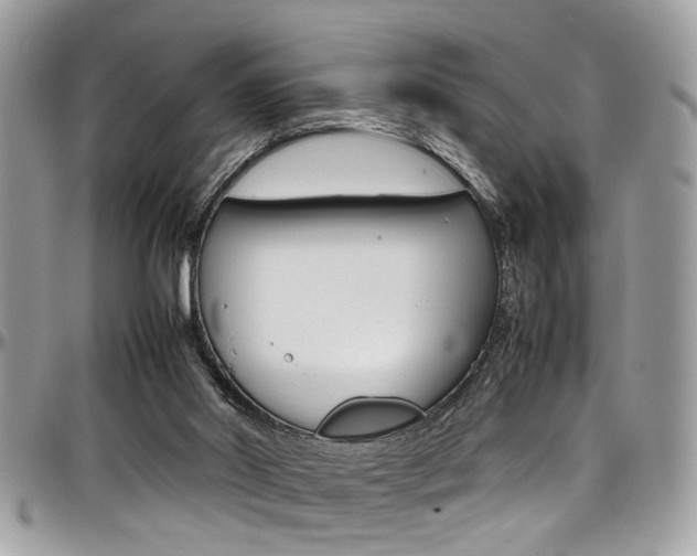 X0000097980014200803241052