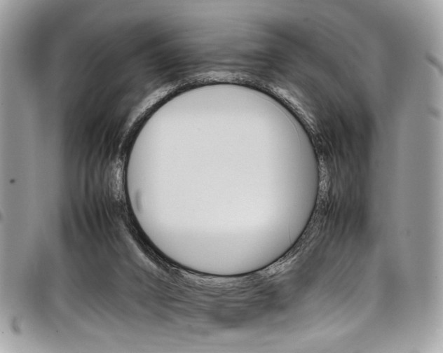 X0000097980016200803241052