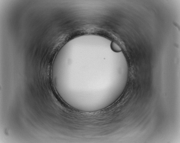 X0000097980018200803241052