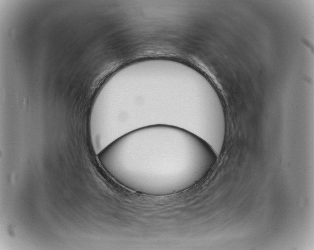 X0000097980019200803241052