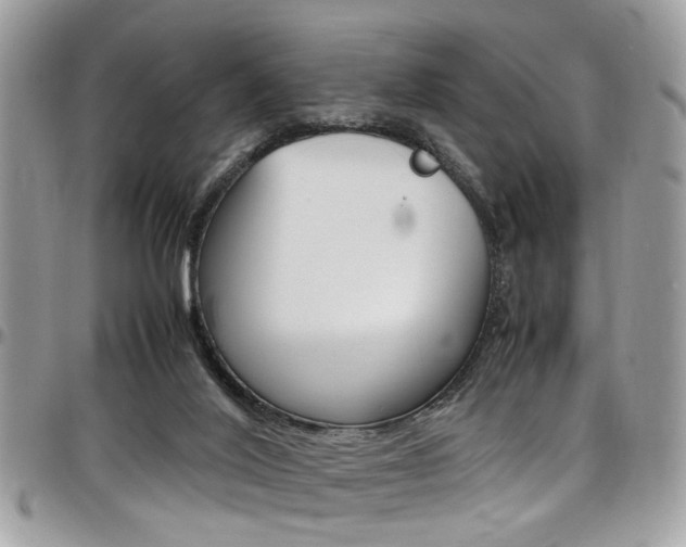 X0000097980020200803241052