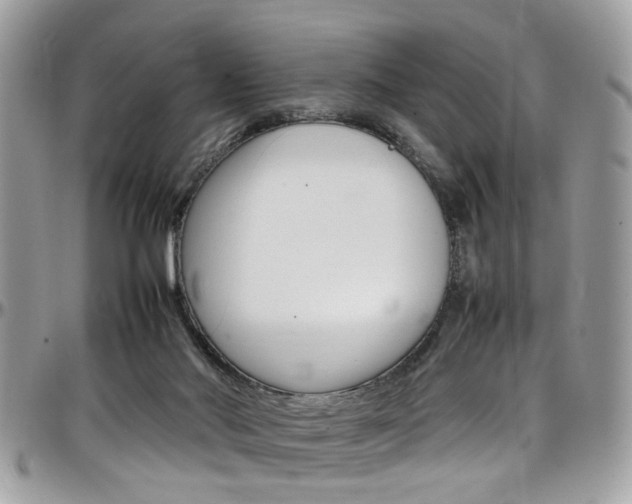 X0000097980022200803241052