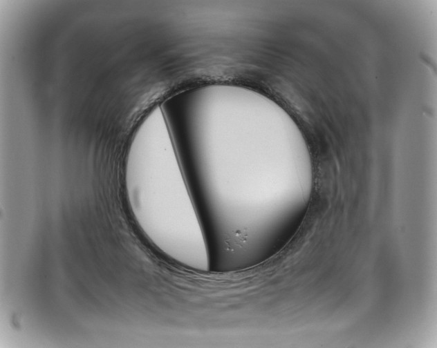 X0000097980023200803241052