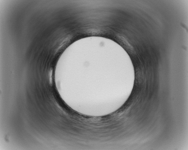 X0000097980024200803241052
