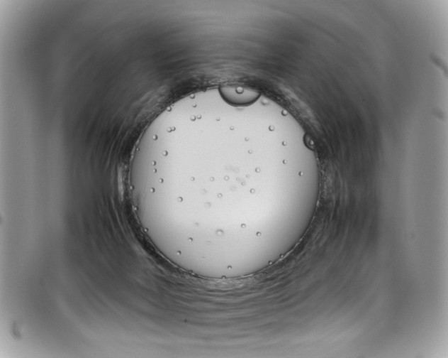 X0000097980026200803241052