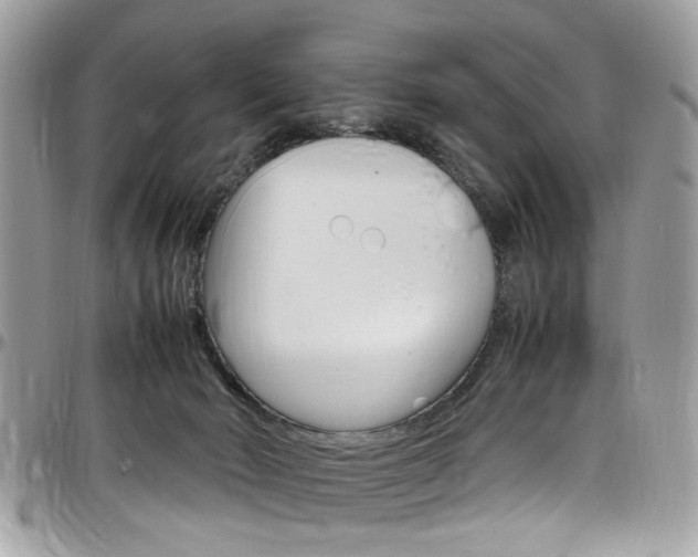 X0000097980030200803241052