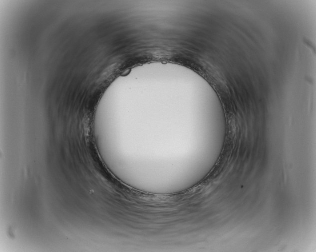 X0000097980032200803241052