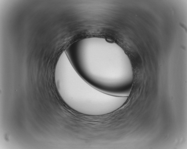 X0000097980033200803241052