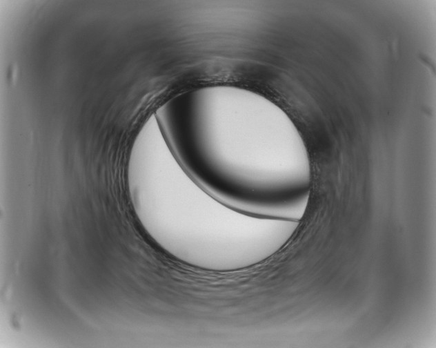 X0000097980035200803241052