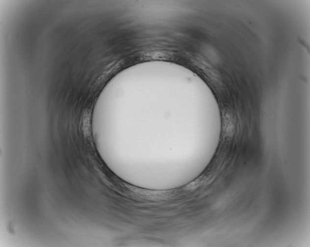 X0000097980036200803241052