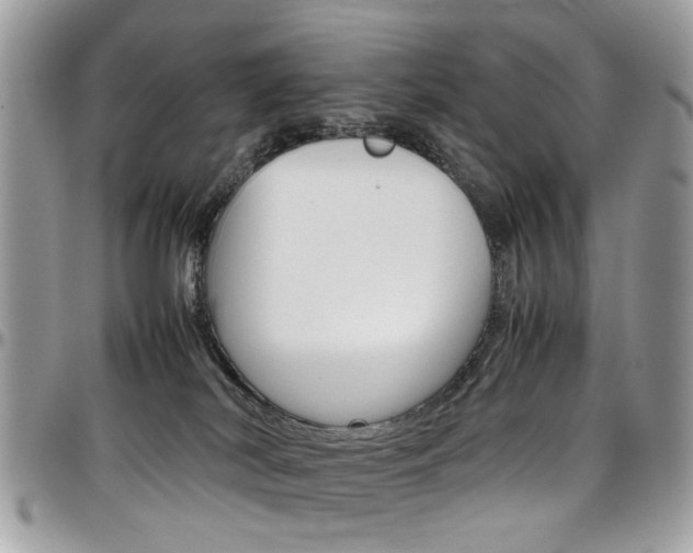 X0000097980038200803241052