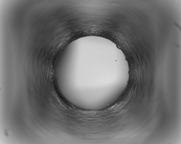X0000097980040200803241051