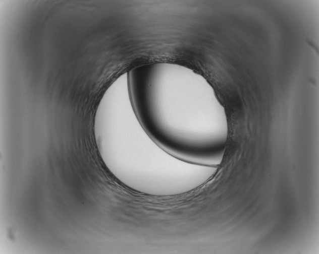 X0000097980041200803241051