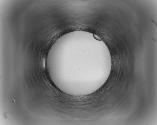X0000097980042200803241051