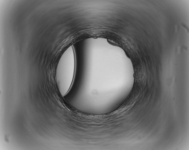 X0000097980044200803241051