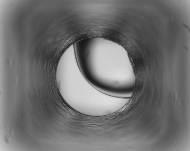 X0000097980045200803241051