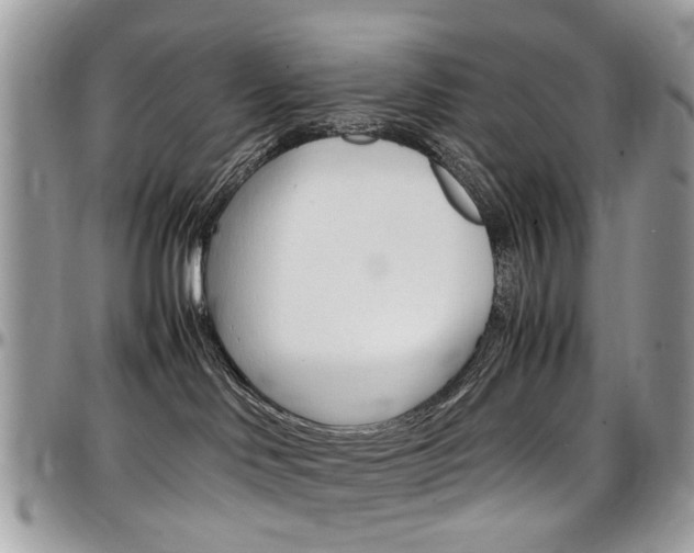 X0000097980046200803241051