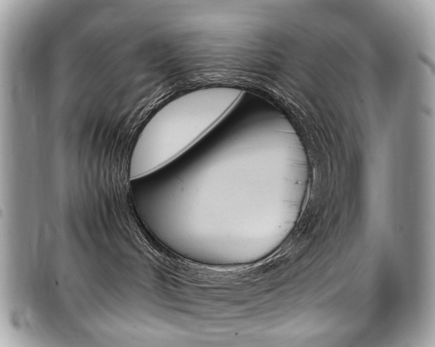 X0000097980048200803241051