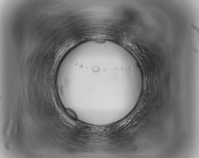 X0000097980049200803241051