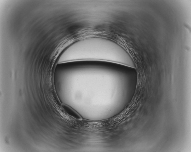 X0000097980050200803241051
