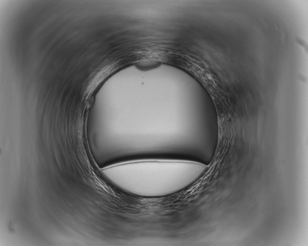 X0000097980051200803241051