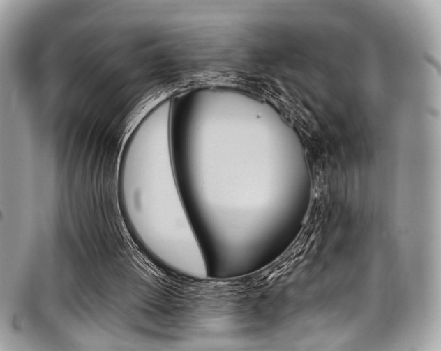 X0000097980052200803241051