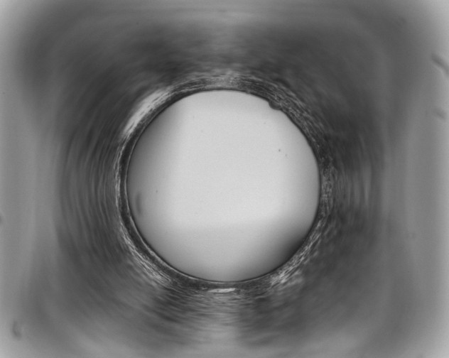 X0000097980054200803241051