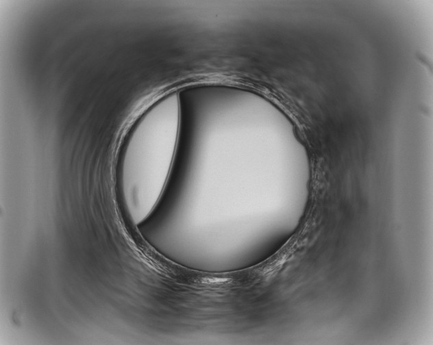 X0000097980055200803241051
