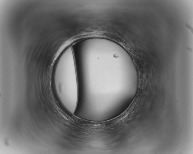 X0000097980056200803241051