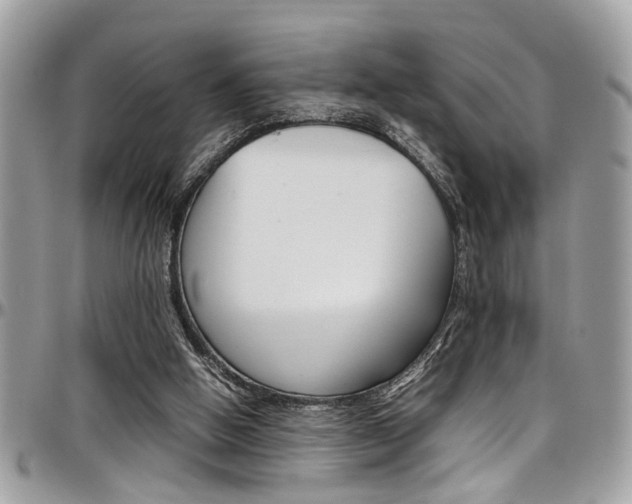 X0000097980058200803241051