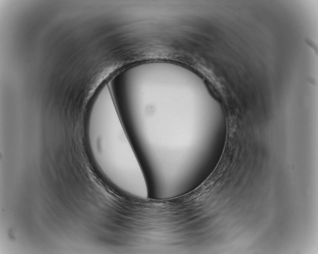 X0000097980060200803241051