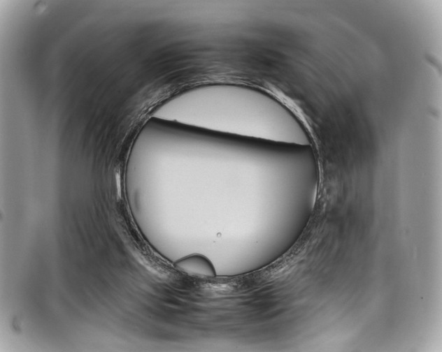 X0000097980061200803241051