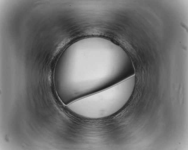 X0000097980064200803241051