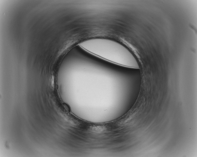 X0000097980067200803241051
