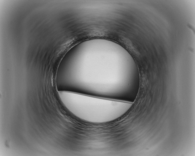 X0000097980068200803241051
