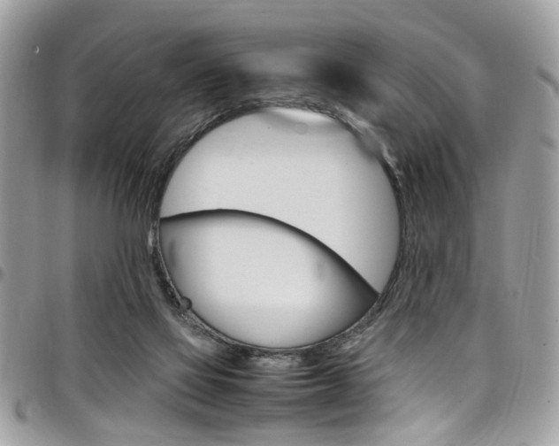 X0000097980069200803241051
