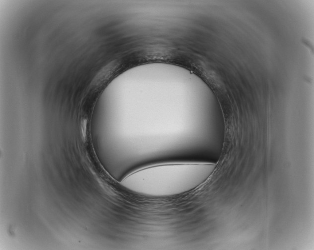 X0000097980070200803241051