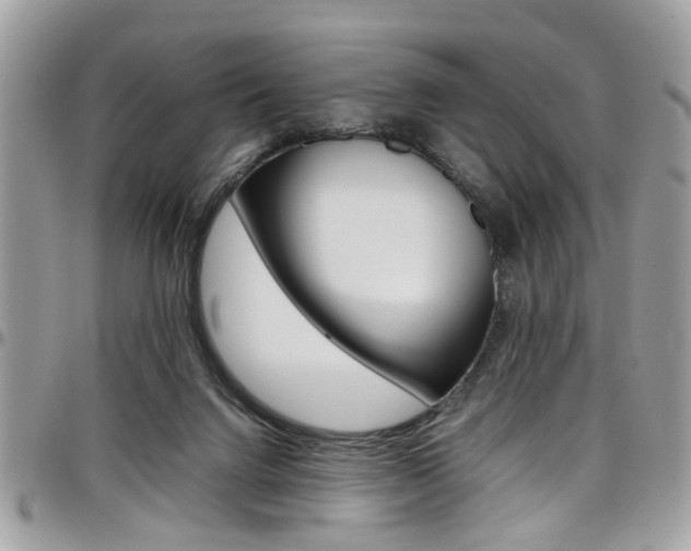 X0000097980072200803241051