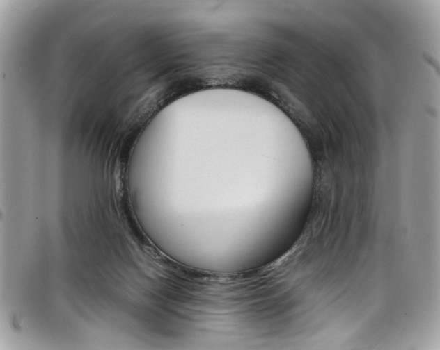 X0000097980074200803241051