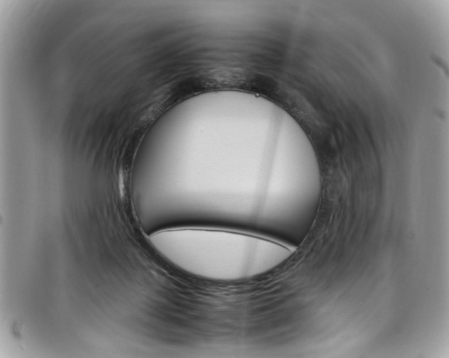 X0000097980075200803241051