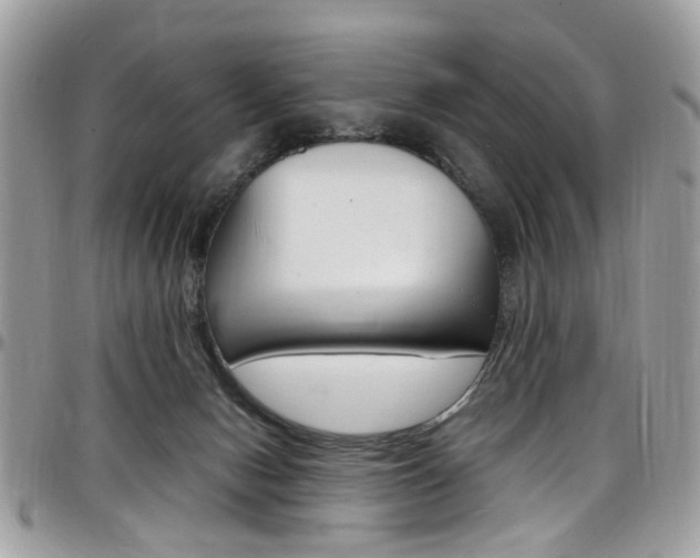 X0000097980078200803241051