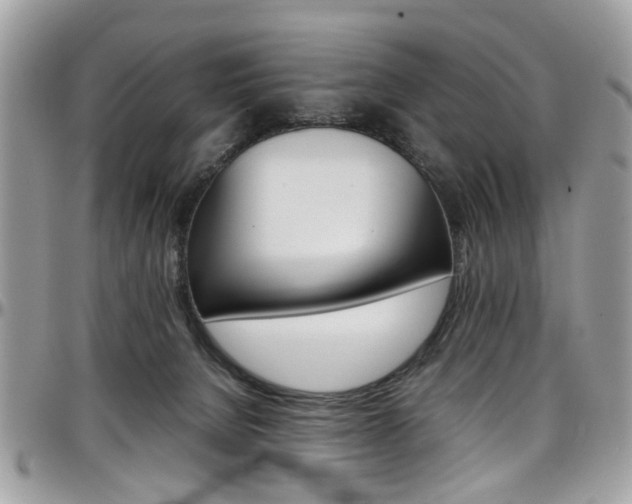 X0000097980080200803241051