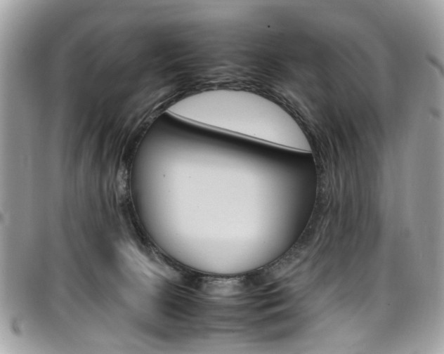 X0000097980081200803241051