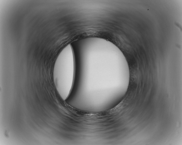 X0000097980082200803241051