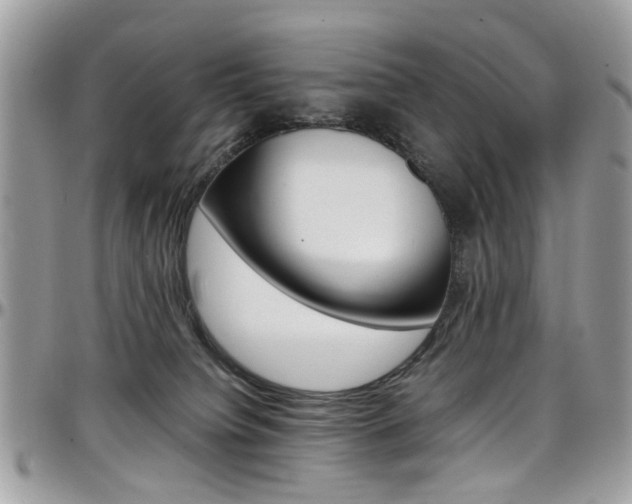 X0000097980084200803241051