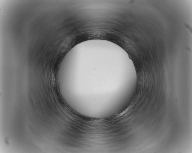 X0000097980086200803241051