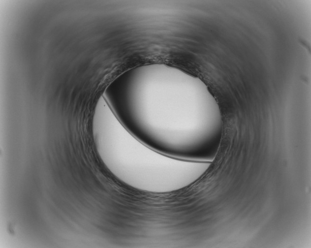 X0000097980088200803241051