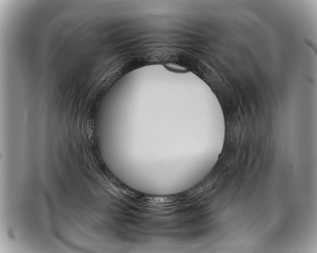 X0000097980091200803241051