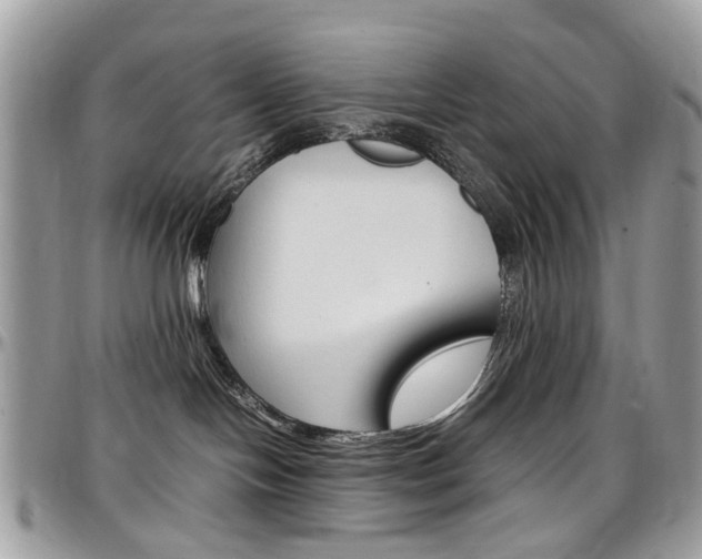 X0000097980094200803241051