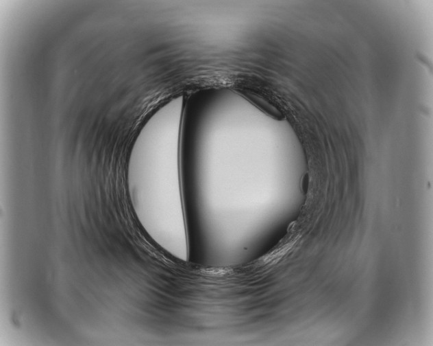 X0000097980096200803241051